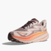 HOKA HOKA ONE ONE Challenger 7 GTX