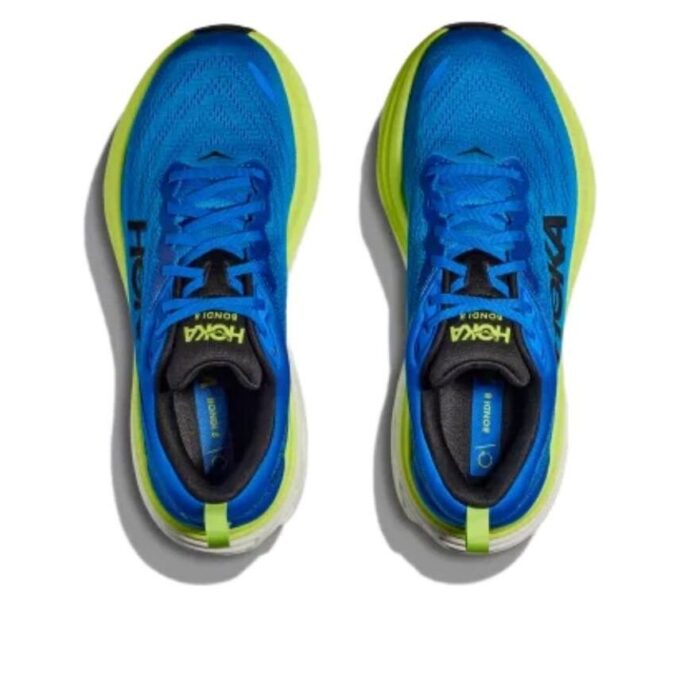 Lechuga Bondi 8 ‘Cobalto Eléctrico’