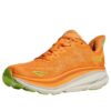 Lechuga ‘Solar Flare’ de Clifton 9 2E Wide