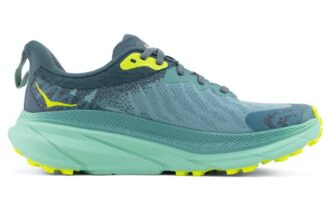 (WMNS) Challenger ATR 7 GTX ‘Verde Balsam Trellis’